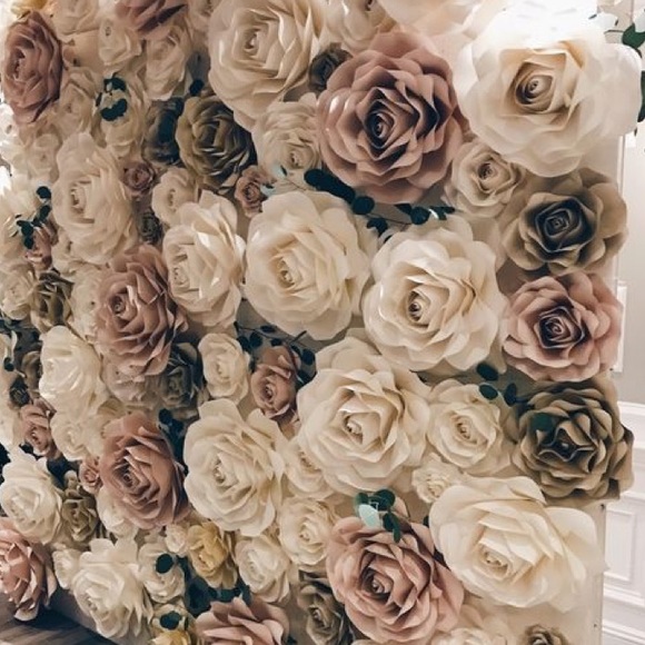 Meet your Posher, Koby - Picture 1 of 1